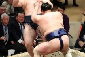 Аоияма загуби, двамата йокозуна - също