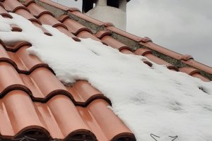 Столична община обяви условията за участие в обществената поръчка за