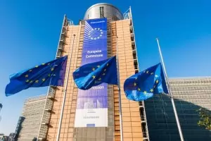 ЕК поиска да спре тормозът на шофьори по границите