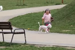 Парковете се отварят само за родители с деца и хора с кучета