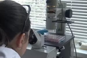 Учени от БАН тестват маски с филтър от костилки