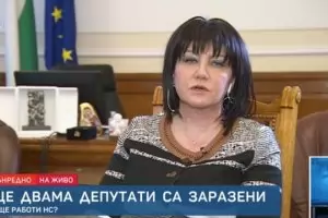 Наглост на деня - Цвета Караянчева