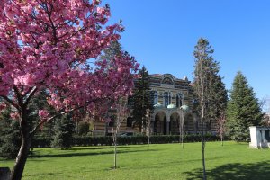 Светият синод забрани с извършването на водосвети за политически партии