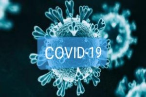 От звънка хармония когато вирусът обезоръжава клетките до сблъсъци и