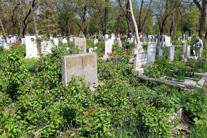 Столична община продължава да раздава без конкурс или търг договори