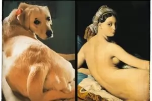 Направи си сам шедьовър (ГАЛЕРИЯ)