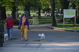 Столична община се отказва от плановете си да ремонтира т нар