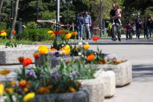 В новия проект за Подробен устройствен план ПУП на Борисовата