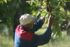 ГЕРБ отнема права на социално слаби с извънредния закон