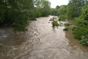 Екоинспекцията в Пазарджик глобява за замърсяването на Стара река