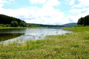 Двама служебни министри на икономиката Никола Стоянов и на