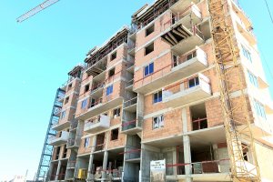 На българския пазар само за последните 12 месеца има 2 4