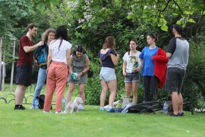 27 процента от младите хора в България са готови да