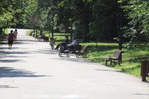 Властта в София предприема първи доста плахи а може би