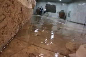 Порои и градушка удариха София и Северозападна България