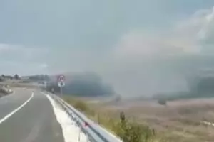 Пожар гори на АМ "Струма" край Сандански