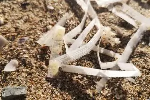 Мистериозни бели лентички превзеха българските плажове