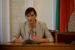 Дариткова: На жълтите павета не разсъждават рационално