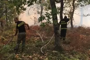 11-годишно дете причинило горския пожар край Девин