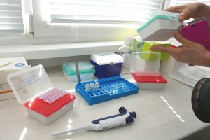 През изминалото денонощие са регистрирани 9152 нови носители на коронавирусна инфекция Направени