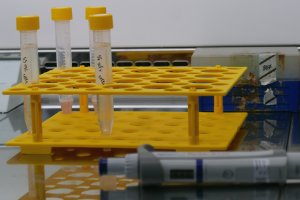 3754 са новите случаи на заразени с коронавируса за ден