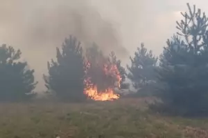 Безпомощната държава доуби Сакар с пожари