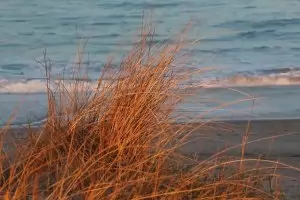 Съдът отмени заменка на сина на Гриша Ганчев