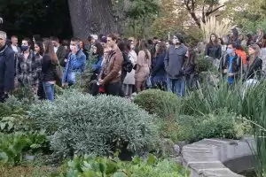 Ще сменим ли армията от икономисти с инженери