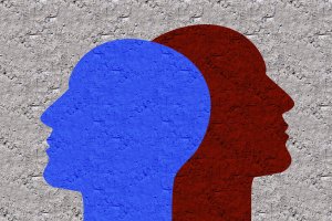 Обществото непрекъснато се дели като изглежда целта е да има