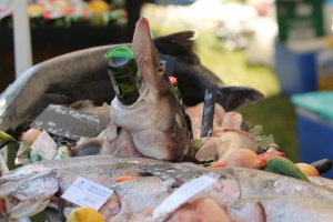 Въпреки обявената извънредна епидемична обстановка и все по трагичните статистически данни