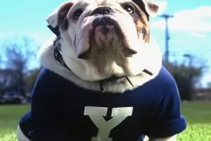 Талисманите в спорта – от Красавеца Дан до Пинокио