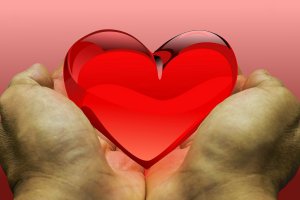 33 от най авторитетните неправителствени организации които се занимават с дарителство