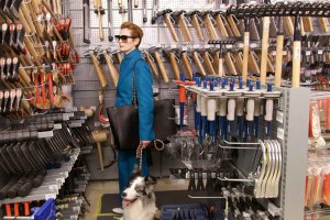 34 ото издание на Киномания която трябваше да започне след 9