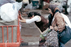 Окръжният съд в Добрич осъди прокуратурата да заплати 50 000