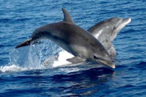 Европейската комисия оповести нова поредица наказателни процедури срещу страни