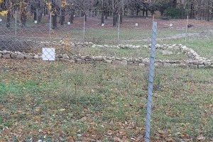 Варненската структура на Демократична България обяви днес че внася предложение