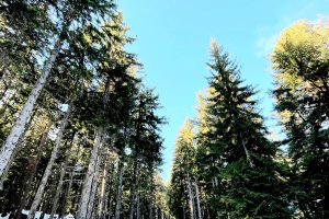 Планински спасители са оказали помощ на мъж паднал от 300