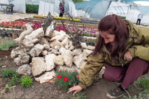 В Чудната градина на фондация Свети Николай Чудотворец в Добрич