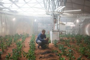 Преди четири години през 2016 а Виегер Вамелинк еколог от университета