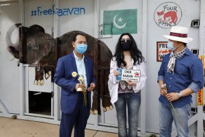 Певицата и актриса Шер приветства най самотния слон в света в Камбоджа