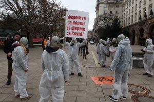 По разпореждане на заместник министъра на земеделието доц д р Крум Неделков