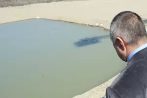 Забатаченият гьол на Борисов