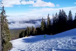 Лавина уби национален състезател по ски над Банско