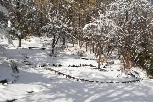 Двама англичани са превърнали стара селска къща в Габровския Балкан