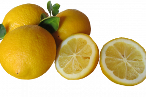 Не е ясно как и дали изобщо правителството ще се