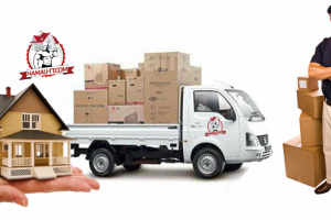 Наред с фирмите и все повече физически лица които си