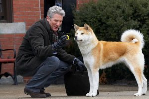 Съдбата на кучето Хачико което години наред чака своя починал