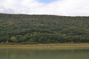 След валежите два остават питейните язовири в България които са