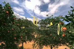 Роботи берат портокали