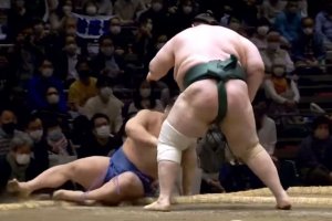 Ден преди края на пролетния турнир Хару башо в Токио